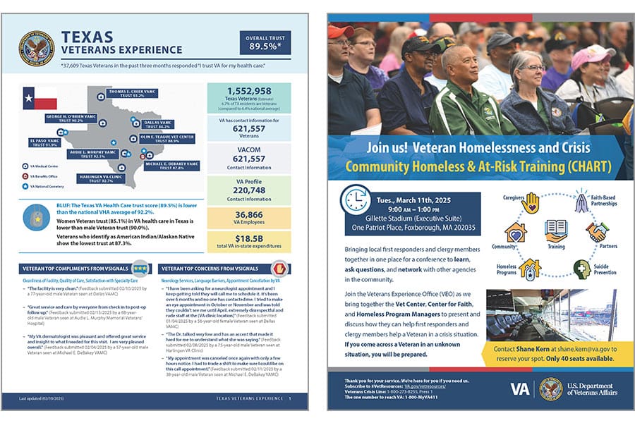 Two Veterans Experience flyers